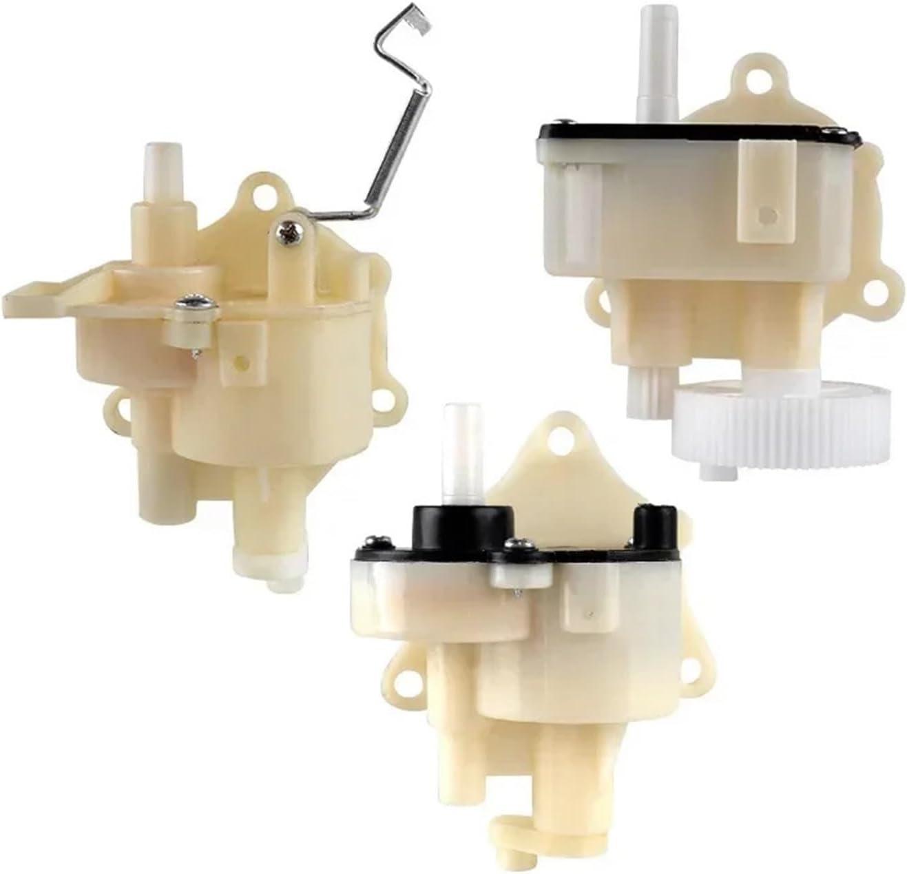 楽天市場】ナチュラル(コレクションケース|コレクション):ホビーの 楽天市場】ナチュラル(コレクションケース|コレクション):ホビーの