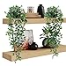 SLTAXAR 2 Stück Künstliche Hängepflanzen mit Töpfen Künstliche Hängend Eukalyptus 65cm Lang Kunstpflanzen Hängend wie echt Hängepflanze Künstlich im Topf für Hausgarten Indoor Outdoor