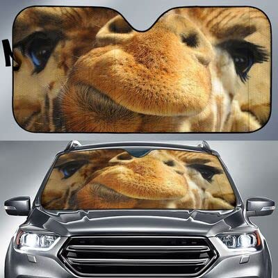Pare-soleil intérieur pliable girafe pour garder votre voiture au frais au camping