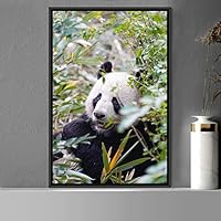Framed Canvas Wall Art Panda Animals Bear Expressive Living Room Multicolor Photography Tropical - 16x24 inches