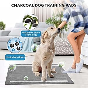 Puppy-Pads-Disposable-Puppy-Training-PadsCharcoal-Puppy-Pads-Large-24-x-36-Super-Absorbent-Leak-Proof-Dog-Pee-Pads-Large-Pyppy-Pads-L-24-X-24-50Pcs - Cucciolini Doodles   Puppy-Pads-Disposable-Puppy-Training-PadsCharcoal-Puppy-Pads-Large-24-x-36-Super-Absorbent-Leak-Proof-Dog-Pee-Pads-Large-Pyppy-Pads-L-24-X-24-50Pcs
