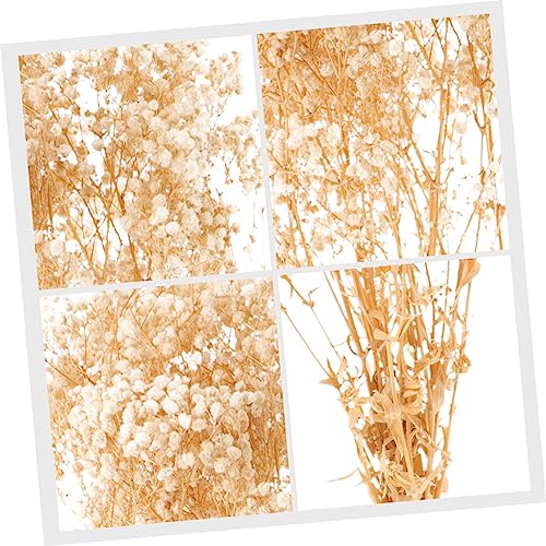 Ramo de Gypsophila seca natural para decoración miniatura 3