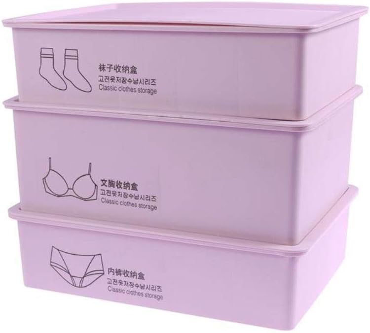 ZXYNAN 3 pcs Plastic Underwear Storage Box Bra Panties