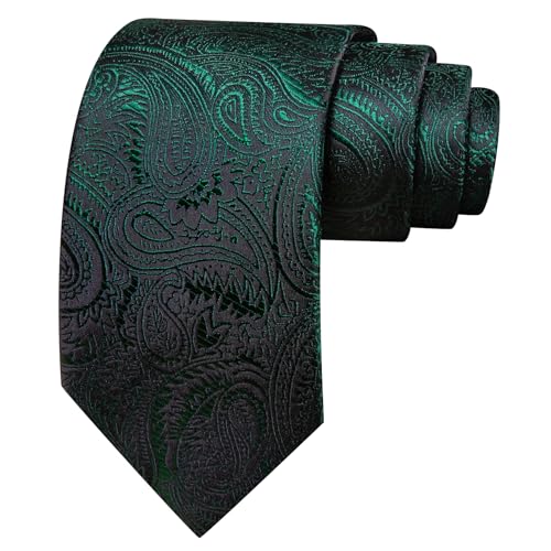 Image of Barry.Wang Paisley Tie for Men Silk Woven Necktie and Tie Clip Set Wedding Party Business Formal