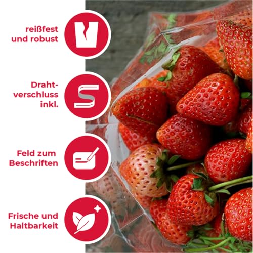 Paclan Gefrierbeutel, 3 ltr (30er Pack)