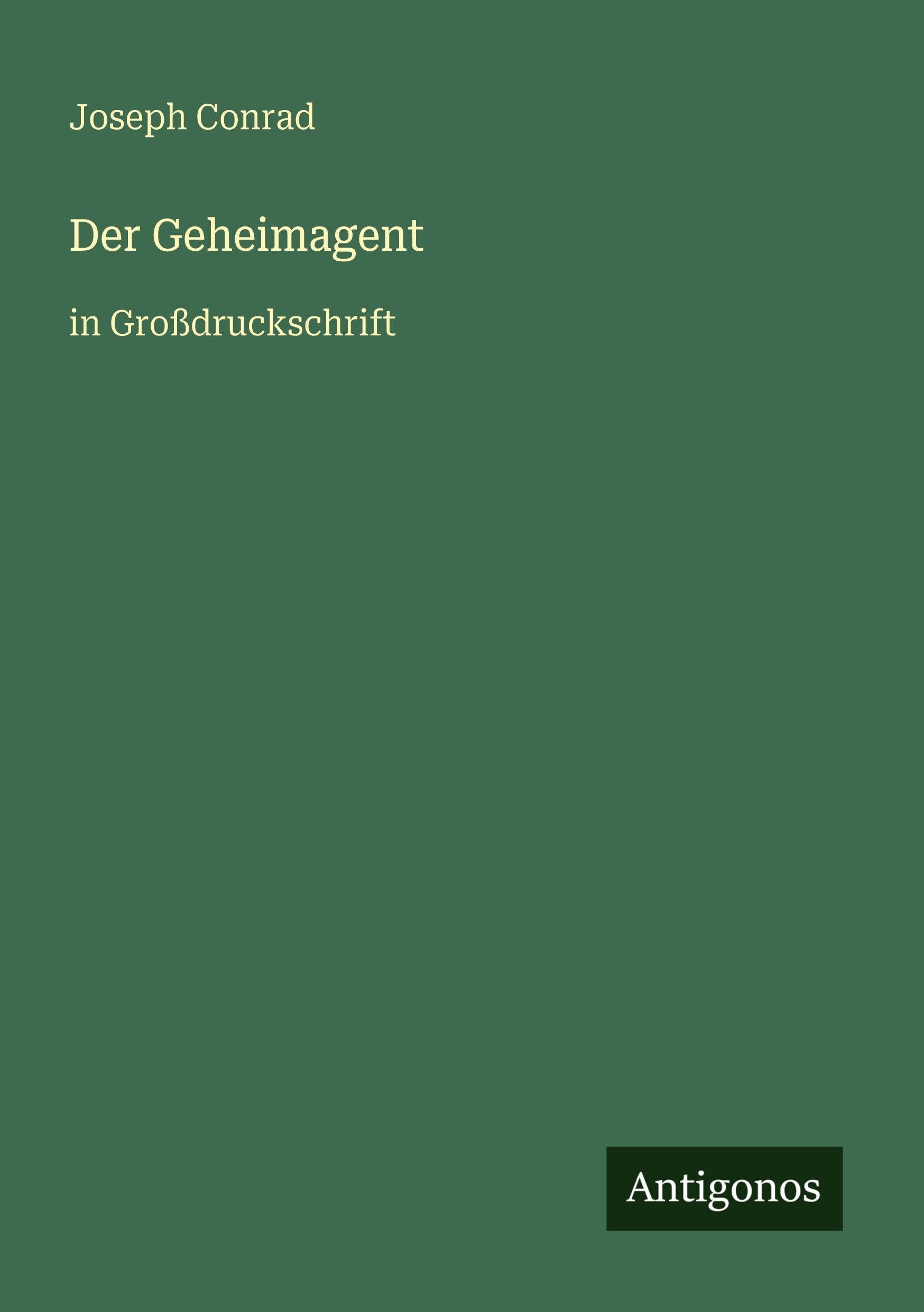 Der Geheimagent: in Großdruckschrift