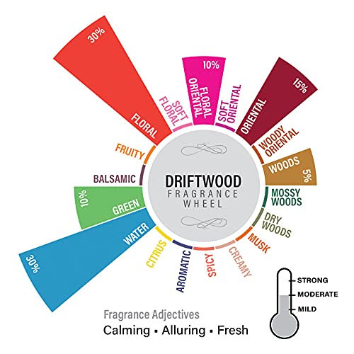 Image of EKAM Driftwood Scented Votive Candle - 40 Grams Each - 10 Hours Burn Time - Ideal for Diwali, Home Decor & Gifting