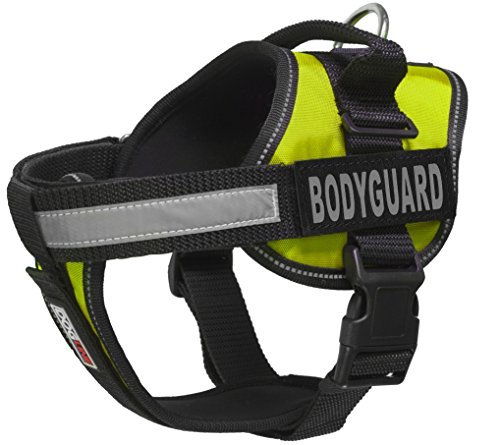 Unimax Multi-Purpose Vest Harness for Dogs and 2 Removable Bodyguard Patches, X-Small, Green