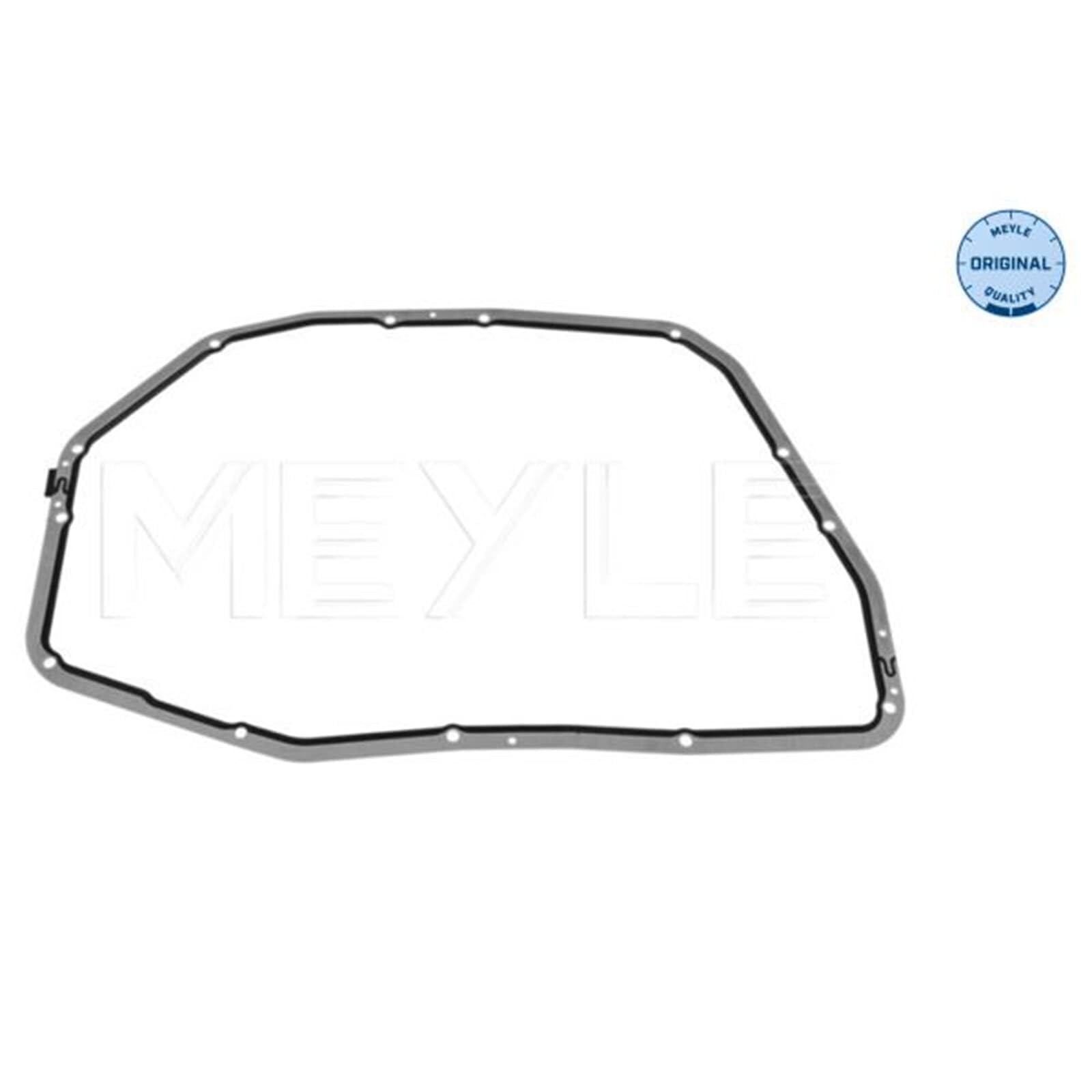 Meyle Teilesatz Automatikgetriebe | 1001350003/SK+0140193200 Meyle Teilesatz+ATF + 9 passend für 09L/6HP19 A4 B7 A6 C6 A8 D3