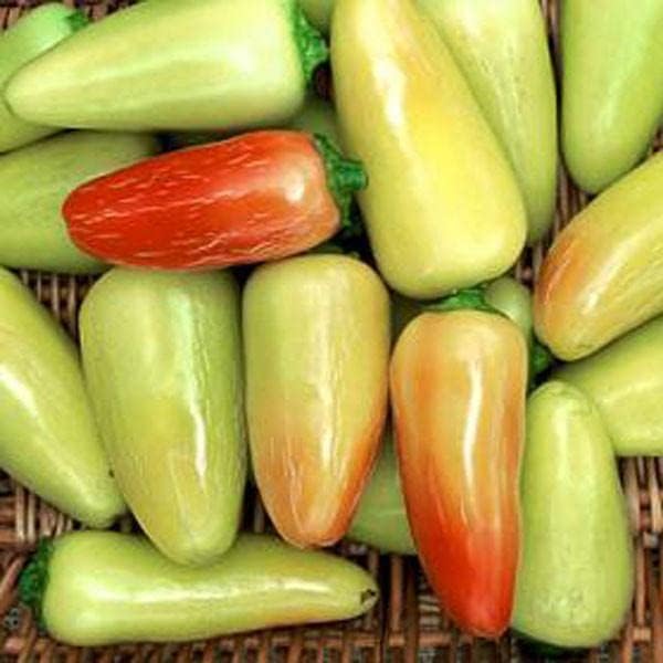 Miniatura 2 de Pepper Joe's Jaloro Semillas de pimiento jalapeño  Paquete de más de 10 semillas de pimiento jalapeño amarillo suave, cultivadas en Estados Unidos,