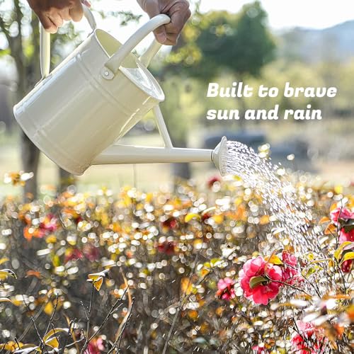 1 Gallon Watering Can for Plants, Watering Cans for Indoor&Outdoor Gardening, Galvanized Steel Watering Pot with Removable Spout, Metal Water Can with Ergonomic Movable Handle(White) by Stdemarzo - Image 2