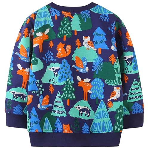 Image of AIWUHE Toddler Cotton Sweatshirt Boys Girls Pullover Long Sleeve Tops 2-6Y | Tops Blouse, Cotton T-Shirt, Fall Winter Clothes