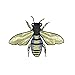Produktbild Lumanuby 1x Mode Voller Stickerei Honigbiene Aufnäher für T-Shirt/Jumper/Jacki/Pullover Delicate Tier Embroidery Patch von Bee Form, Aufnäher Serie