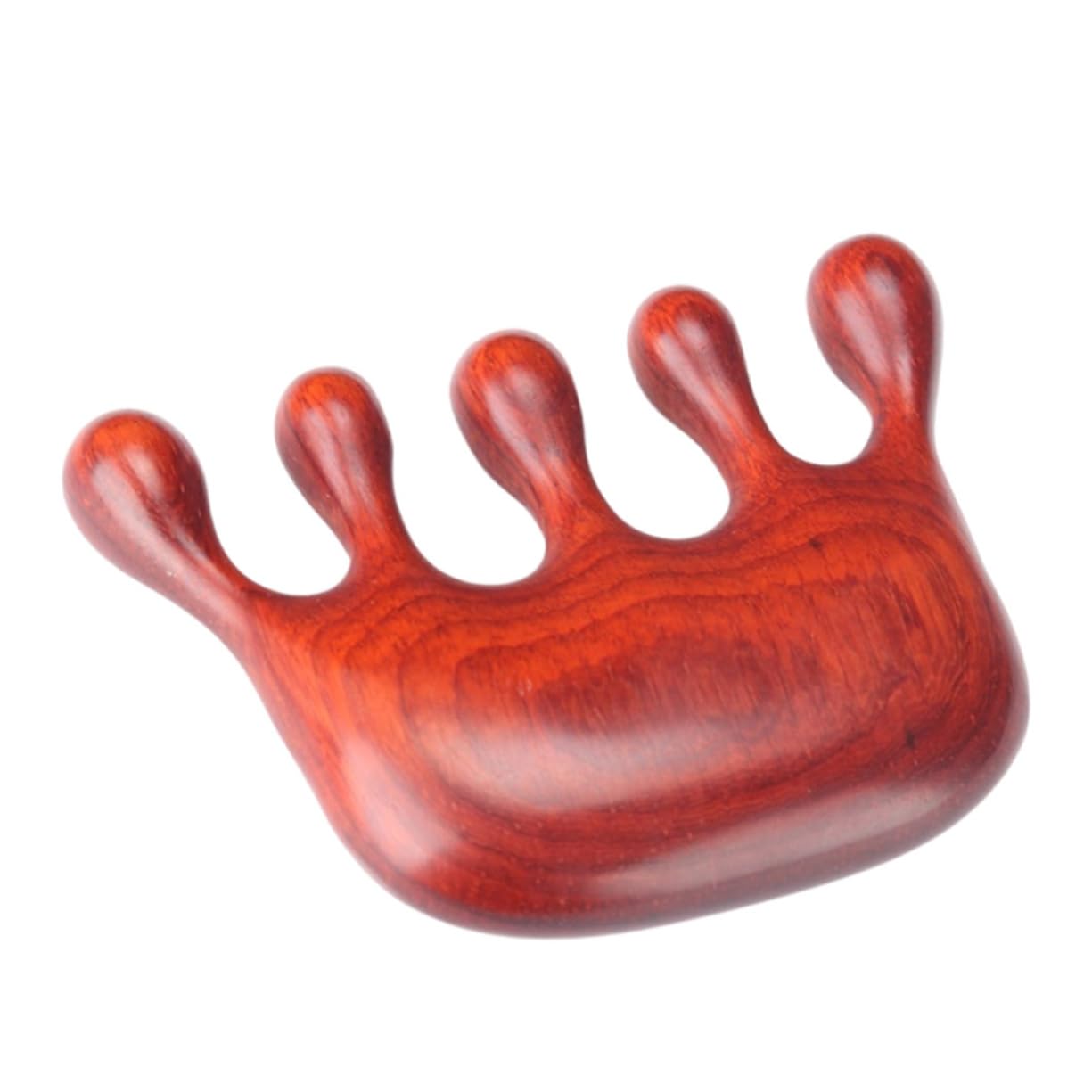 3pezzi Pettine Massaggiante Per Capelluto Strumento Comfort Per Della e Circolazione Sanguigna Design Relax e