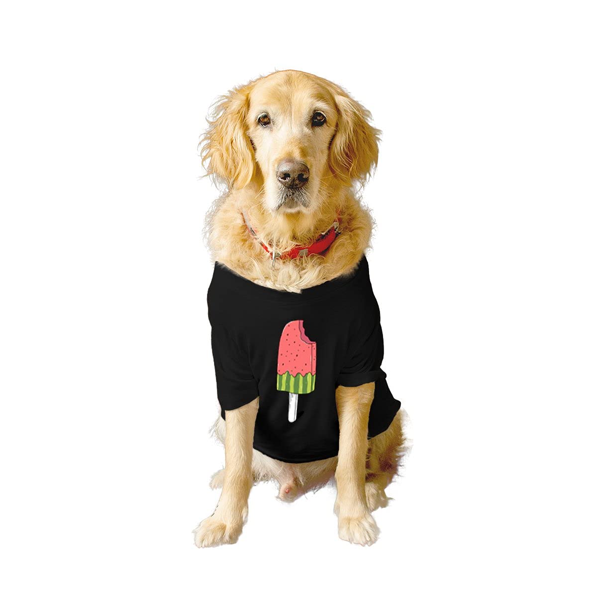 Ruse Basic Crew Neck Icicle Printed Half Sleeves/Apparel/Clothes/T-Shirt Gift for Dogs.Colour-Black/X-Large (Full Grown Retrievers, Labs etc.) (B0979F511M) Amazon Price History, Amazon Price Tracker