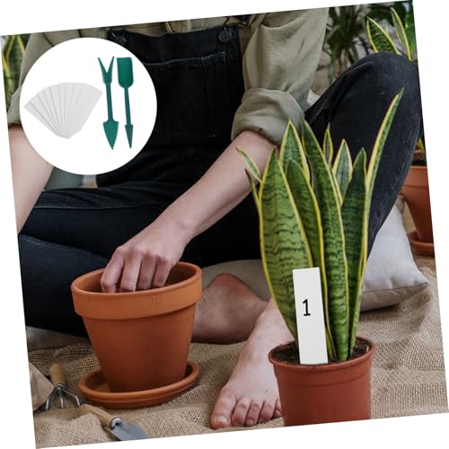 Herramientas de jardinería manual 2 piezas para suculentas miniatura 4