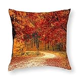 Zoom IMG-2 hostecco federa decorativa per cuscini Zoom IMG-2 hostecco federa decorativa per cuscini