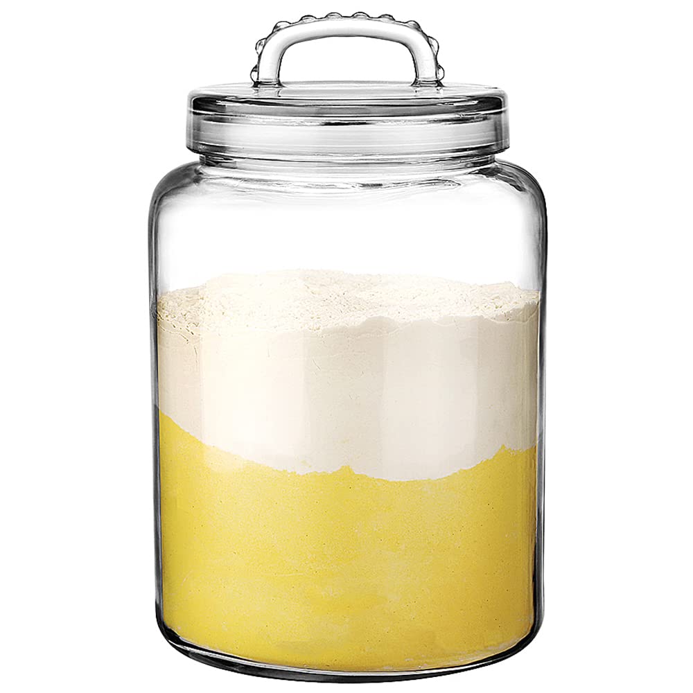 Daitouge 3 Gallon Glass Jars Wide Mouth, Heavy Duty Glass Storage Jars