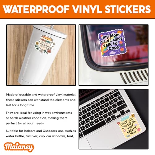 Image of MAIANEY [10Pcs, 3 inchx3 inch] Funny Mental Health Stickers, Self Care Vinyl Decal for Laptop, Water Bottle, Journal, Therapy Motivation Quote Stickers for Adults Teens, Aesthetic Waterproof