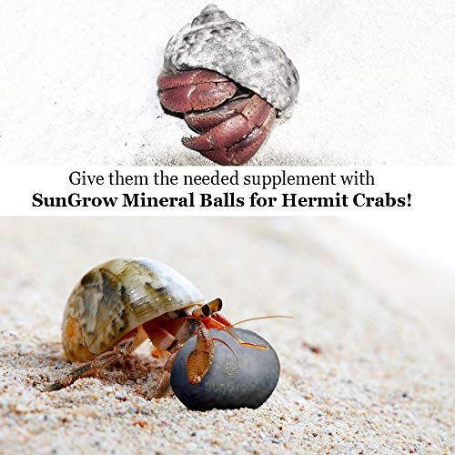 Sungrow 10 Hermit Crab, Crayfish Calcium Supplement Balls, Beneficial For Molting Pets, With Over 30 Beneficial Minerals - Image 5