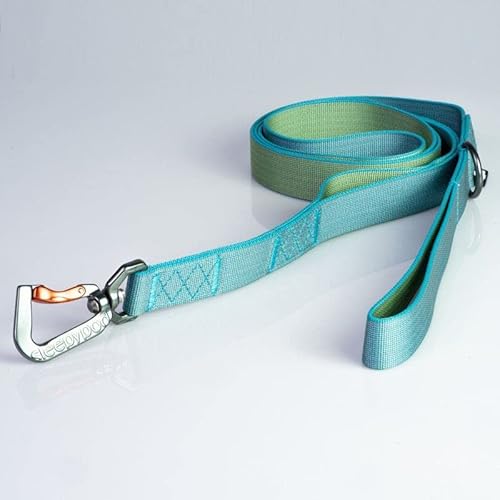 パワーリーシュ M ブルーラグーン