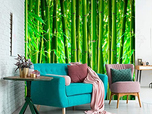 Oedim Papel Pintado Bosque de Bambú, decorativo para habitaciones, decoración para paredes, mural