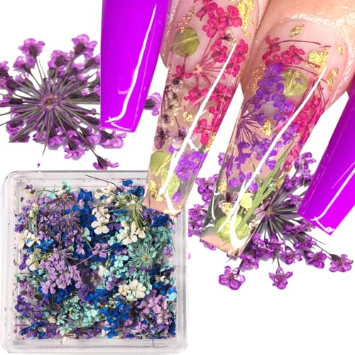 Qdsuh HJKFBHM01 Dried Flowers For Nails, 3D Natural Dry Flower For Resin Crafts Tiny Floral Nail Art Flowers Colorful Mini Mix Flower Nail Stickers thumb #6
