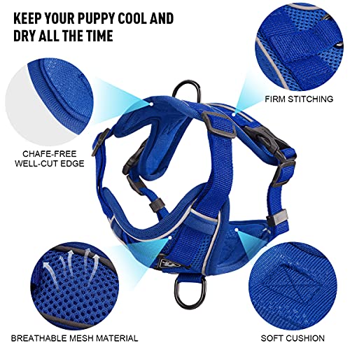 Dog Harness and Leash Set - Mesh Dog Vest Harness Breathable - Reflective Puppy Harness No Pull No Choke for Small… - Image 3