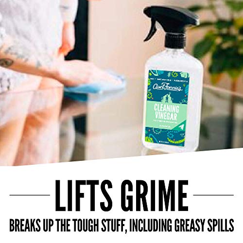 Aunt Fannie's Bundle: All Purpose Vinegar Cleaning Spray (Eucalyptus) + Carpet Refresher (Lavender) #TOP3