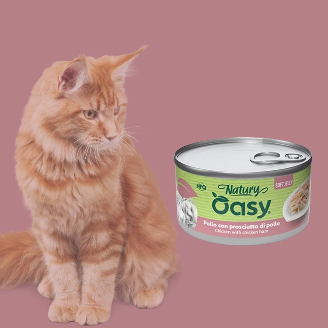 Oasy - Comida húmeda para gatos naturales con sabor a pollo con jamón de pollo, suaves filos naturales de Soft Jelly para gatos adultos de todas las tallas y razas | 24 latas de 85 gramos cada una.