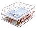 PAG Set of 2 Office Supplies Metal Stackable File Document Letter Tray Organizer for Desk, Rose Gold