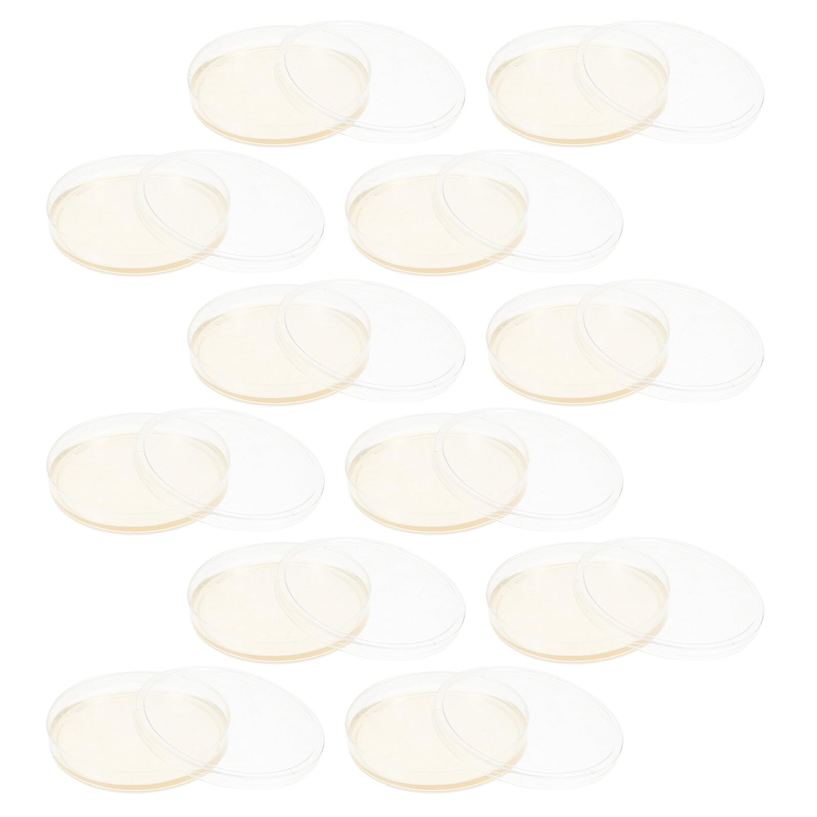 SHINEOFI Placas de Petri de Agar Nutritivo Lb de 9 CM, 20 Unidades Estériles de Plástico para Cultivo Celular y Experimentos Científicos en Laboratorio