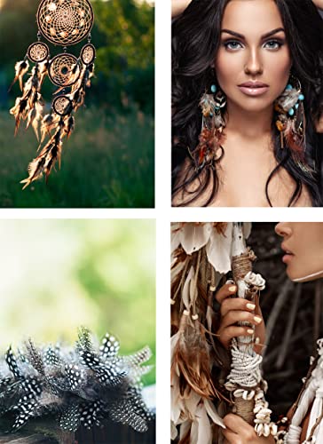 Craft Feathers - Natural Feathers - Loose Real Chicken Feather For Dream Catcher Jewelry Making Hats Crafts By Mandala Crafts 1.25 To 4.25 Inches 180 Pcs #TOP4