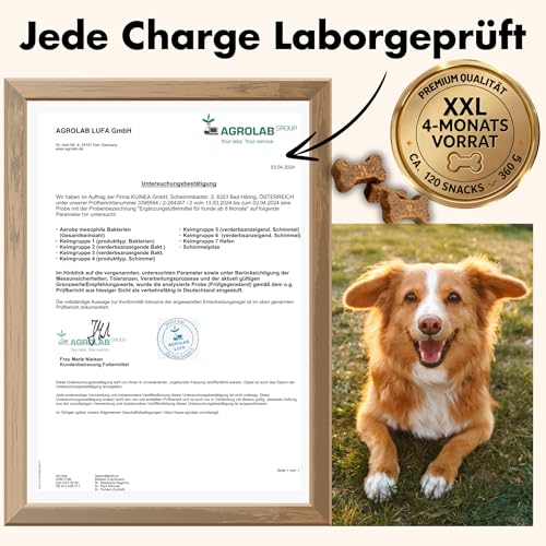 KUINEA® Multivitamin Snack für Hunde – All in One Vitamine als Leckerli – ca. 120 Snacks (360 g) – Ergänzungsfuttermittel mit Vitaminen & Mineralstoffen – ab 6 Monaten (1er Pack)