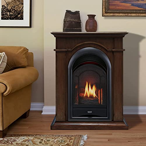 Procom Dual Fuel Ventless Gas Fireplace System - 10,000 Btu, T-Stat Control, Walnut Finish - Model# Fs100T-W #TOP1
