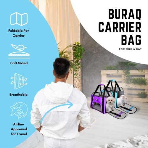 Buraq-Foldable-Pet-Carrier-Breathable-Soft-SidedAirline-Approved-for-Travel-Hiking-and-Outdoor-Suitable-for-Kittens-Puppy-Sky-Blue-Foldable-Pet-Carrier