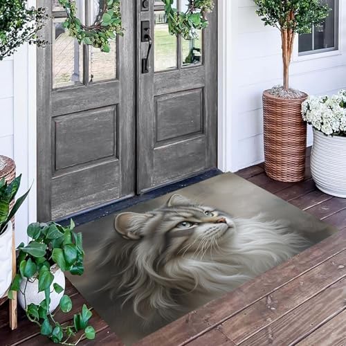 Tapis entree interieur absorbant et paillasson lavable chat - 3