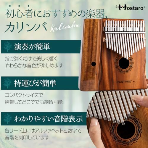 Amazon.co.jp: HOSTARO Kalimba