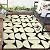 Wonnitar Outdoor Rug for Patio Clearance, 4x6 Waterproof Reversible Plastic Straw Rug,Indoor Outdoor Area Rug, Outside RV Rug for Camping, Geometric Mat for Deck Balcony Porch (Black & Beige,4'x6')