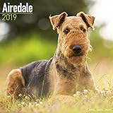 ? 16 Monatskalender (ein Blatt für Sept. - Dez.)