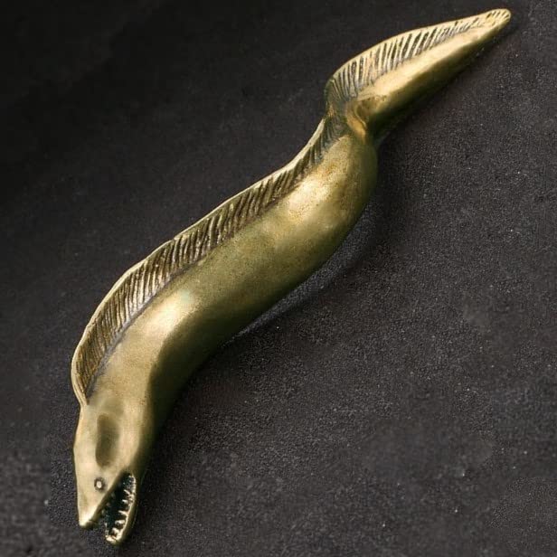 Amazon.co.jp: 90g タチウオ ラブカ ウミヘビ ウツボ 深海魚 魚