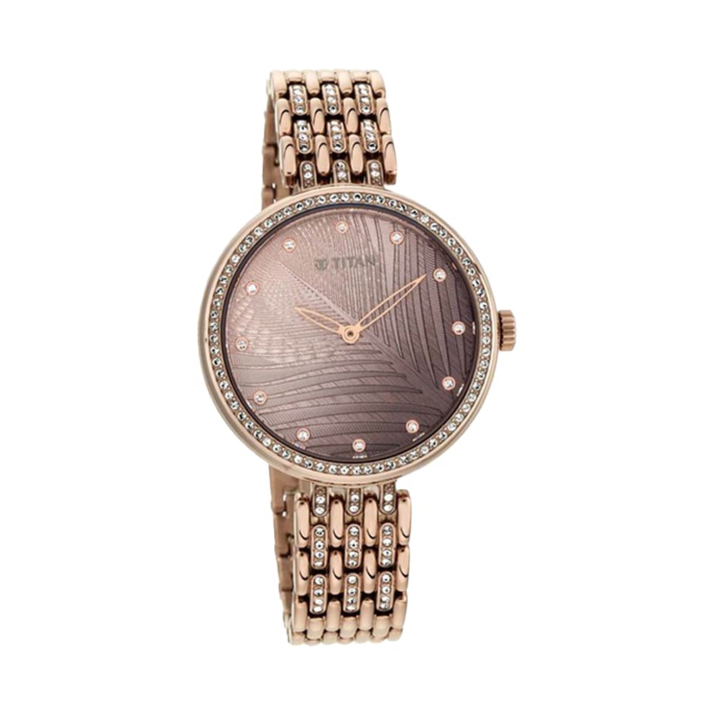 Titan Animalia Brown Dial Analog Stainless Steel Strap Watch for Women-NS95129QM01 (B08Q7NBS9K) Amazon Price History, Amazon Price Tracker