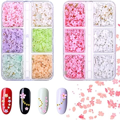 2 Boxen Blumen Nail Art Charms 3D Acryl Blumen Strasssteine Nägel Farbe Fünf Blütenblatt Blumen Nagel Dekorationen Cover