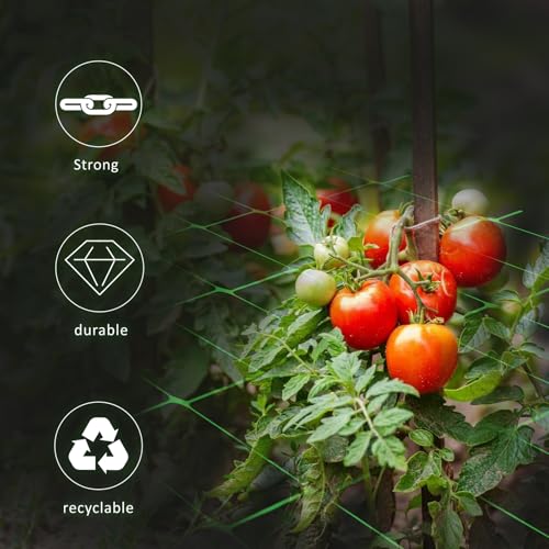 Toolazy Trellis Netting Roll 4ft x 3280ft Green - Heavy Duty 6" Mesh Plant Support Net for Climbing Vegetables, Scrog Netting for Grow Tent Tomato Cucumber Pea Bean Grape Vine Garden Hydroponic by Toolazy - Image 6