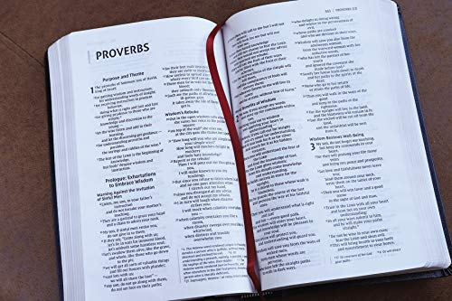 Zondervan 178900 Niv, Thinline Bible, Bonded Leather thumb #5