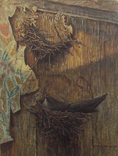 Robert Bateman - Chimney Swift On Nest