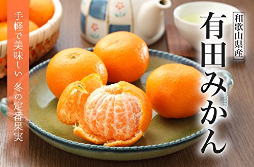 はちやフルーツ 有田みかん 風のいたずら 訳あり大きさおまかせ 5kg の商品画像 4