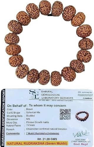 7 Mukhi Lab Certified Rudraksha Bracelet, Shiva Wrist Mala, Yoga Bracelet, Seven Faced Rudraksha, Gift For Yoga Lover