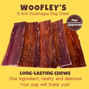Woofleysesophagusjerky15countgulletsticksfordogssafejerkydogchewseasilydigestibledogjerkybullysticks  Urban Country Home Decor Woofleys esophagus jerky 15 count gullet sticks for dogs safe jerky dog chews easily digestible dog jerky bully sticks  urban country home decor