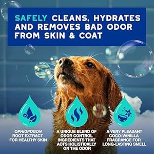 DOUXO Skin Coat SPA Ultra Safe Odor Control Dog Shampoo for Smelly Dogs 16 fl oz Cleans and Hydrates The Skin Removes Odor Leaves The Coat Soft and Smelling Great Skin Friendly Formula